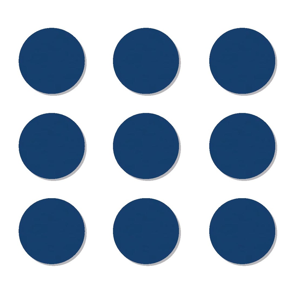 TAPA TORNILLO AZUL ACERO 200UND MASISA