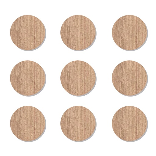 [TT CARVALO MASISA] TAPA TORNILLO CARVALO 200UND MASISA