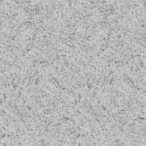[FORMICA ASTRAL] FORMICA ASTRAL LAMITECH 1X122X244
